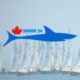 The Canadian Shark Class Association
